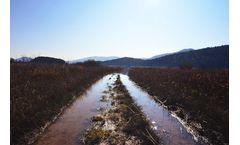 The Big Changes to Wetland Laws & Regulations in 2020