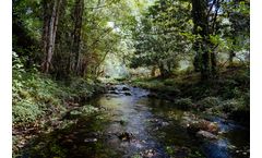 Stream Restoration 5 Part Bundle Training Courses