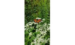 Wetland Skills Mastery Program Training Courses