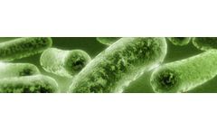 Water Conditioning System for Remove and Prevent Algae and Biofouling