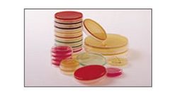 Redipor - Poured Plates