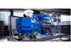 R Schmitt Enertec - Model GEN - Power Generators Sets