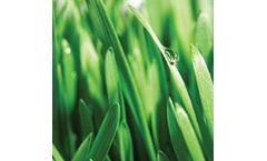 Analysis of Contaminated Plant Leaves Using J200 Tandem LA – LIBS Instrument