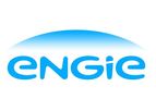 Cogeneration Capabilities Services