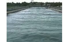 Pierson Moskowitz 0002 - Video