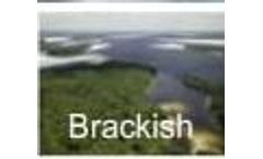 Biological Enzyme for Brackish