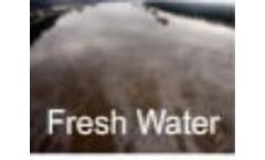 Liquid Spills Solution - Biological Enzyme for Fresh Water