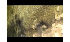 OSE II - Video