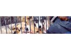 Troy Acoustics - Animal Shelters