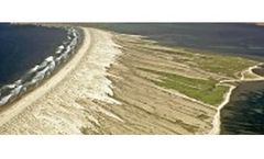 Environmental Impacts and Assessments Services