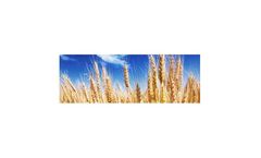 Pellets and granulates solutions for feedstuff sector