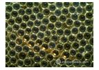 IMBIBER BEADS - Super aBsorbent