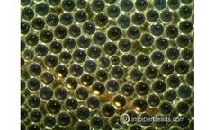IMBIBER BEADS - Super aBsorbent