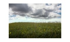 Environmental Management Service