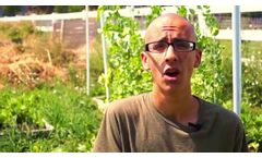 Soil Moisture Tutorial - Video