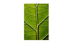 Bioenergy Systems
