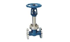 TianJin - Cryogenic Gate Valve