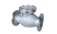 TianJin - Swing Check Valve