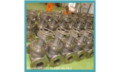 Ravian - Valves (Ball, Check, Gate, Globe, Butterfly)