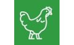 Onsite In-Vessel Composting Systems for Poultry