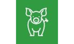Onsite In-Vessel Composting Systems for Pork