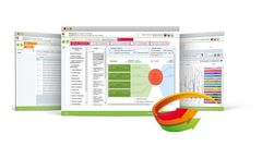 Riskion - Risk Managemen Software