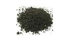 Generating Energy from Sewage Sludge