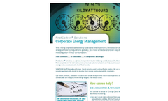 Corporate Energy Management