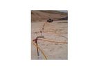 Electrical Resistivity Imaging Geophysical Surveys