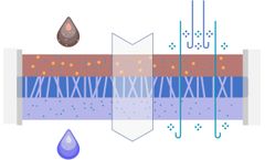 Track-Etched Polymer Membrane Filters for Filtration of Fluids (Gas and Liquids)