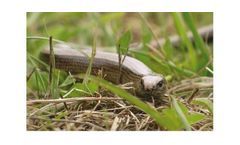 Ecology & Biodiversity Services