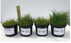BioNova - Teagasc Growing Trials Services