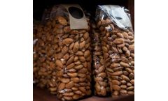 Regel Protect Adhesive