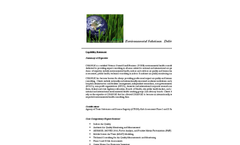Change Capability Statement Brochure