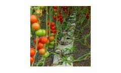CoirGreen - Grow Bags