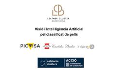 Vision and artificial intelligence for leather sorting - Case Study