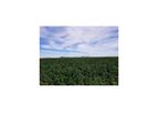 Western - Model Hemp & SDI - Drip Irrigation System