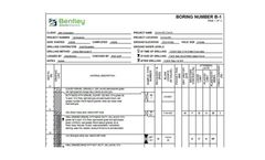 gINT - Version Professional - Subsurface Data Management and Reporting Software