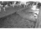 EYS - Cable Manure Scrapers
