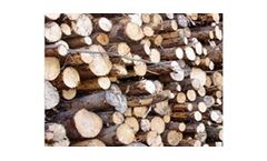 Seasoned Hardwood Logs