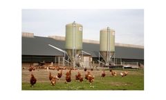 Free Range and Game Feeding System