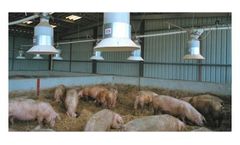 EB - Pig Feeding Systems