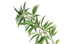 Equipment for Hemp