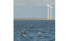 Pisces Conservation - Environmental Statement Services