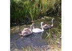 Pisces Conservation - Habitat & Fisheries Management Services