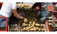 SCS Food Safety Training - Online + Live GLOBALG.A.P. Growers IFA Ver 5.1 - Crops Base; Fruits & Vegetables