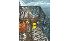 Zebra-Tech Wet Tag - Data Collection for Fisheries