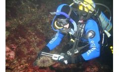 Zebra-Tech - Dive Calliper
