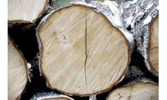 Wastewater Treatment Monitoring for Pulp & Paper - Real-time BOD, COD, TSS