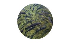 Water quality monitoring for aquaculture industry